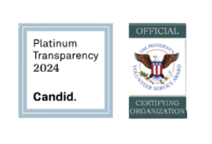 Platinum transparency 2024