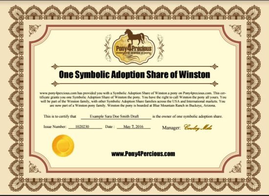 Symbolic Adoption Package